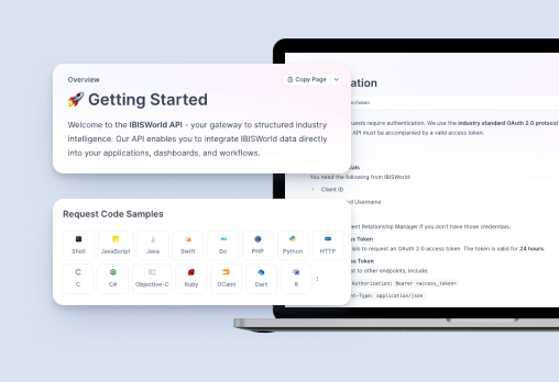 Programming interface with API integration